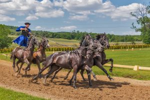 Official Best Odds for Horse Racing Free Play: Pro Tips to Win in India (2026)