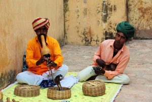 Legit Online Betting in Jaipur: Complete 2026 Guide for Indian Players